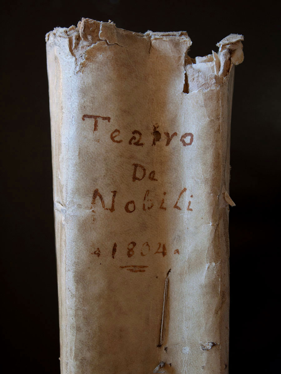 Viterbo. Biblioteca degli Ardenti, Teatro Nobili - particolare