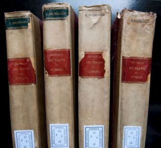 Viterbo. Biblioteca degli Ardenti, Volumi de "Cronaca dei Teatri di Viterbo"